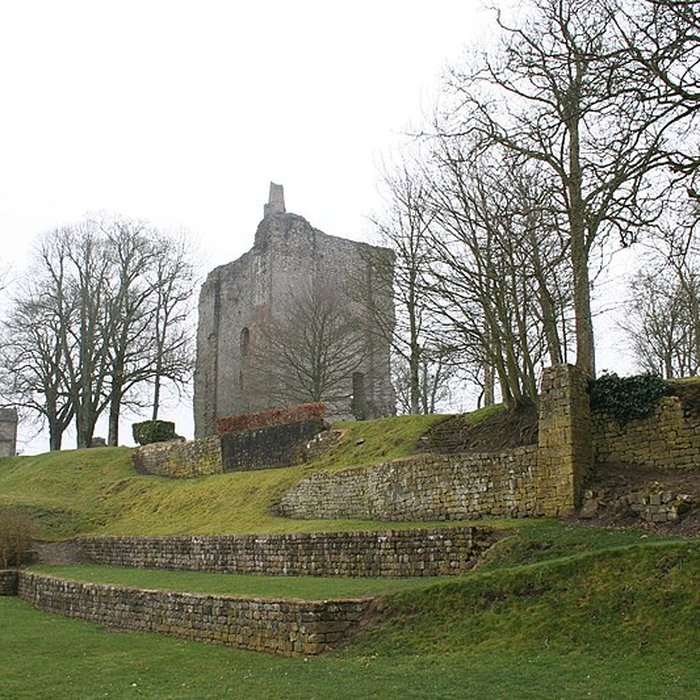 Photo de Château de Domfront