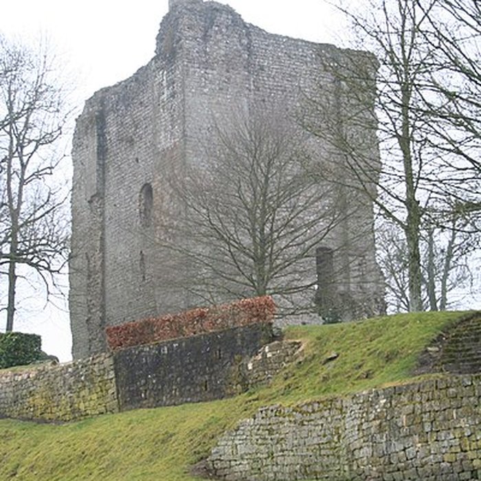 Photo de Château de Domfront