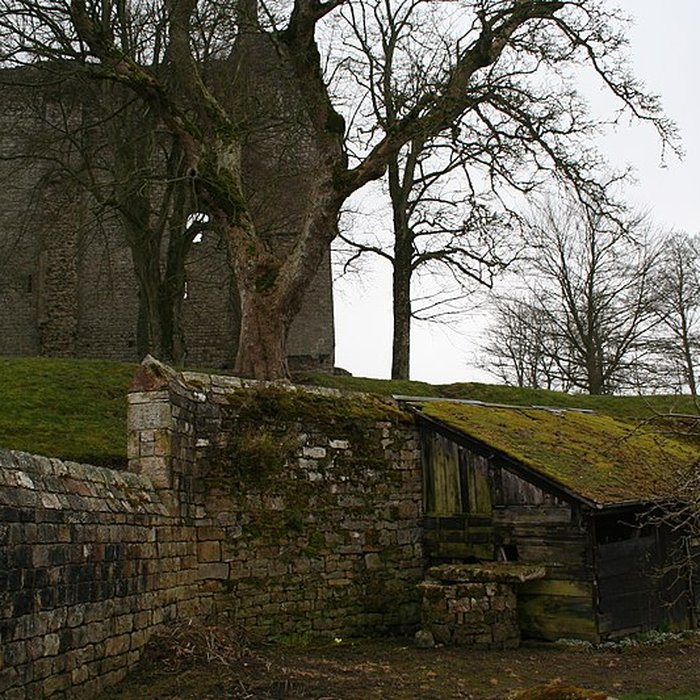 Photo de Château de Domfront