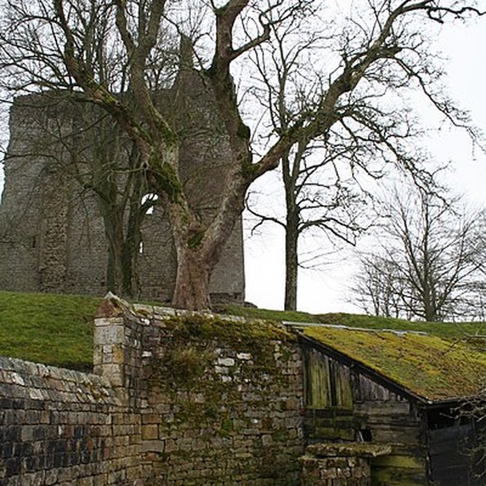 Photo de Château de Domfront