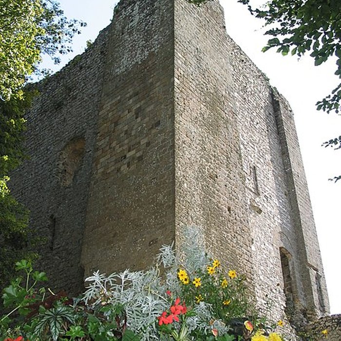 Photo de Château de Domfront