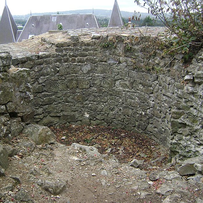 Photo de Château de Domfront