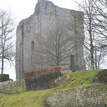 Château de Domfront