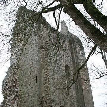 Château de Domfront