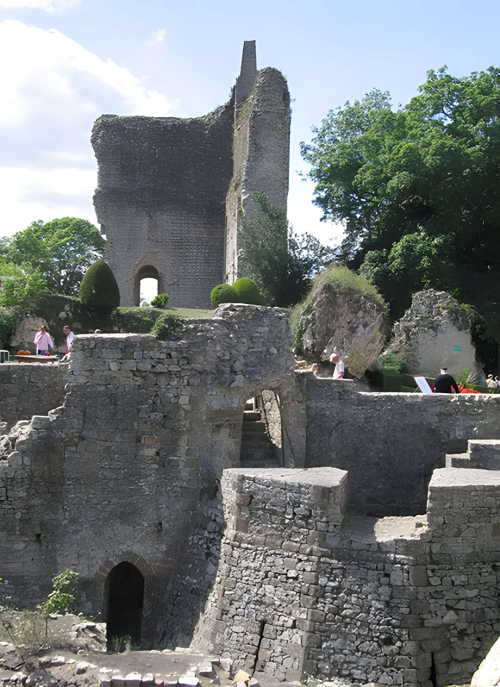Château de Domfront 