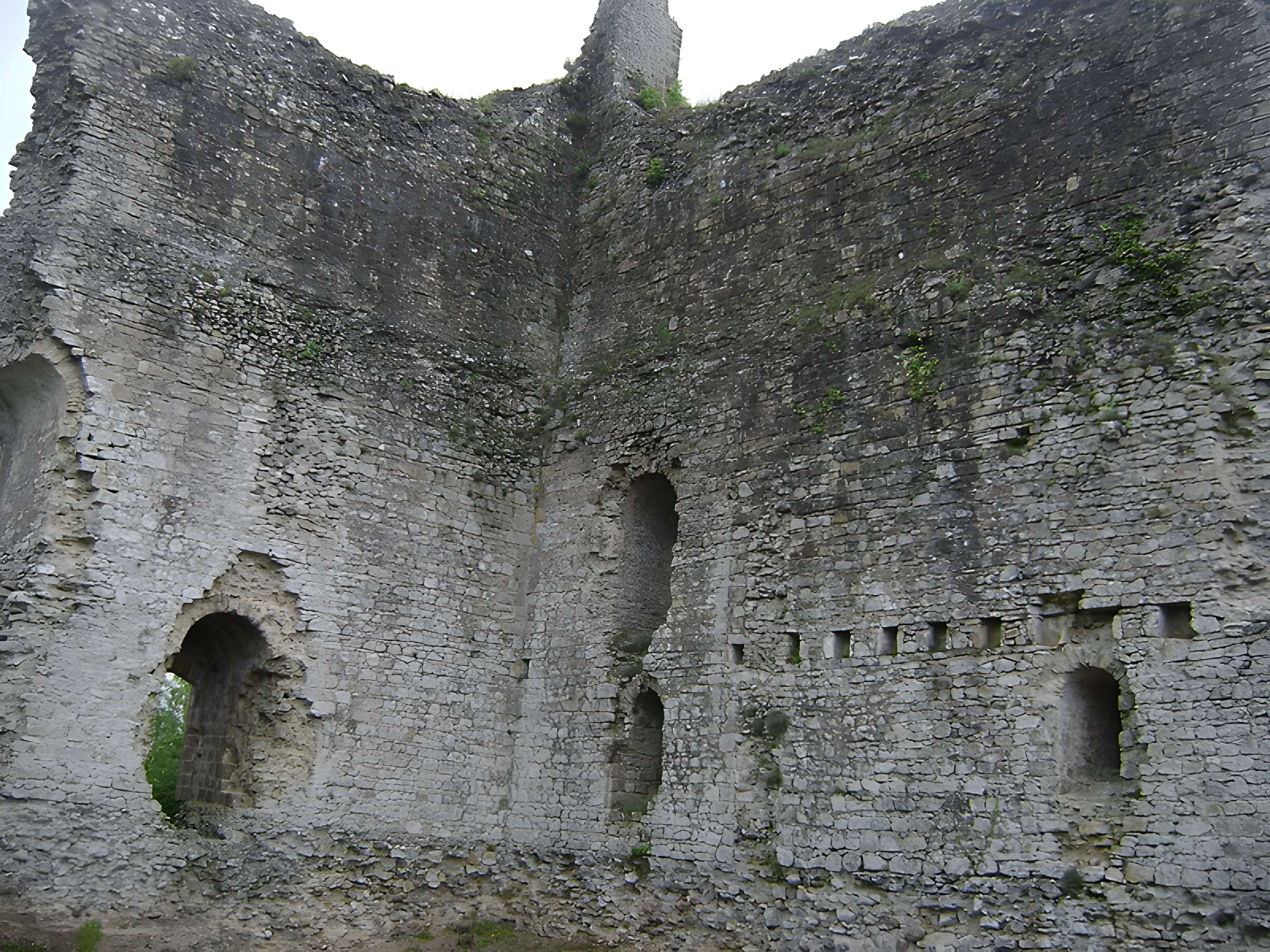 Château de Domfront