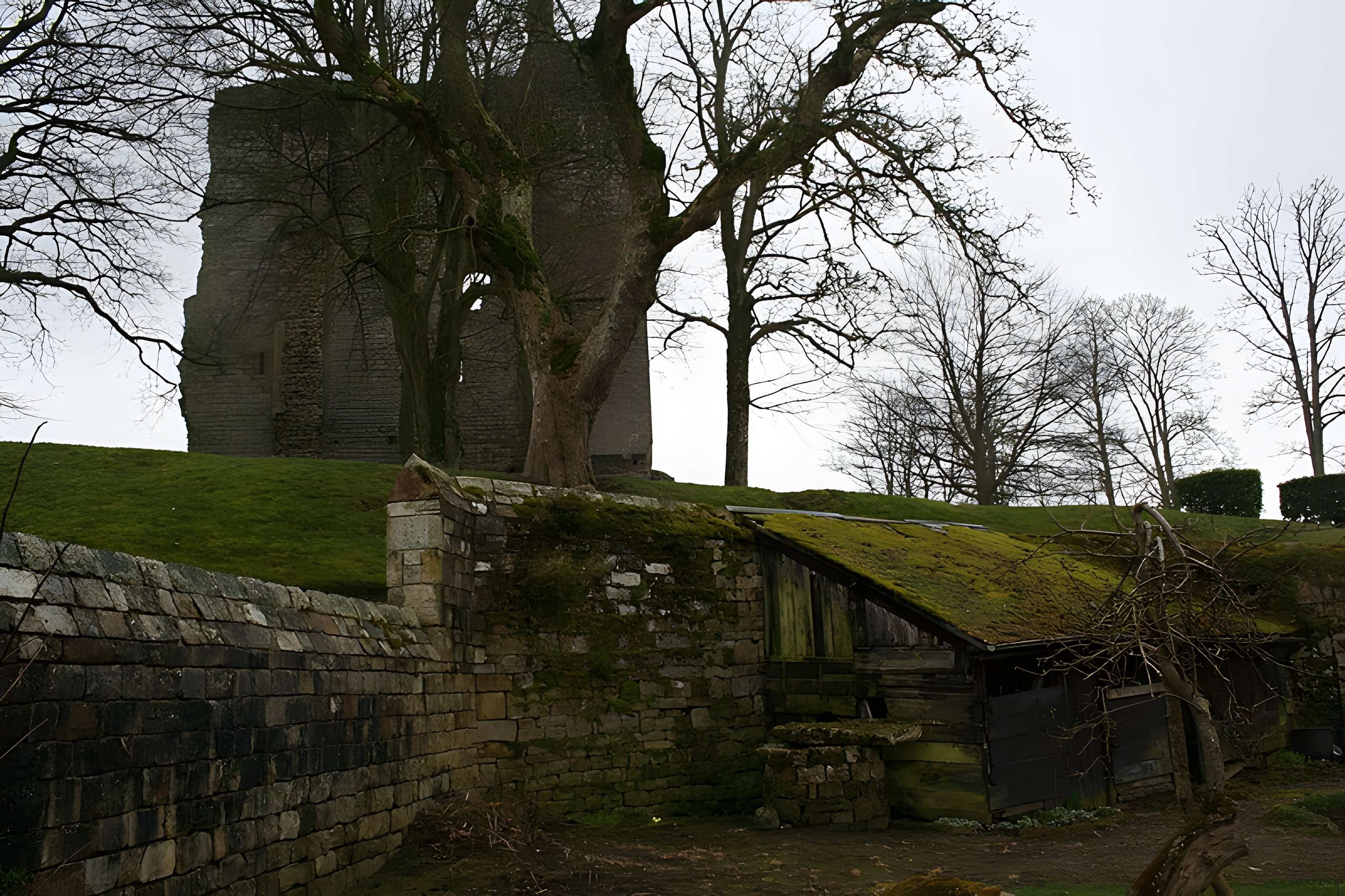 Château de Domfront