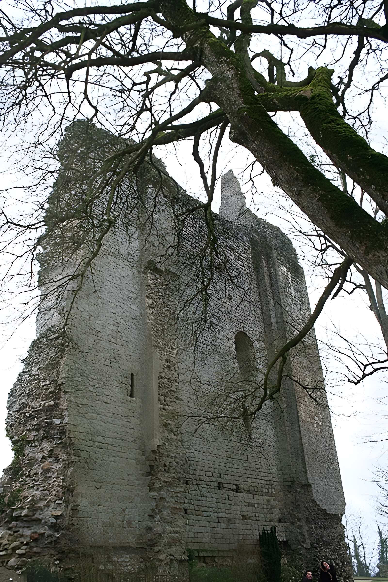 Château de Domfront