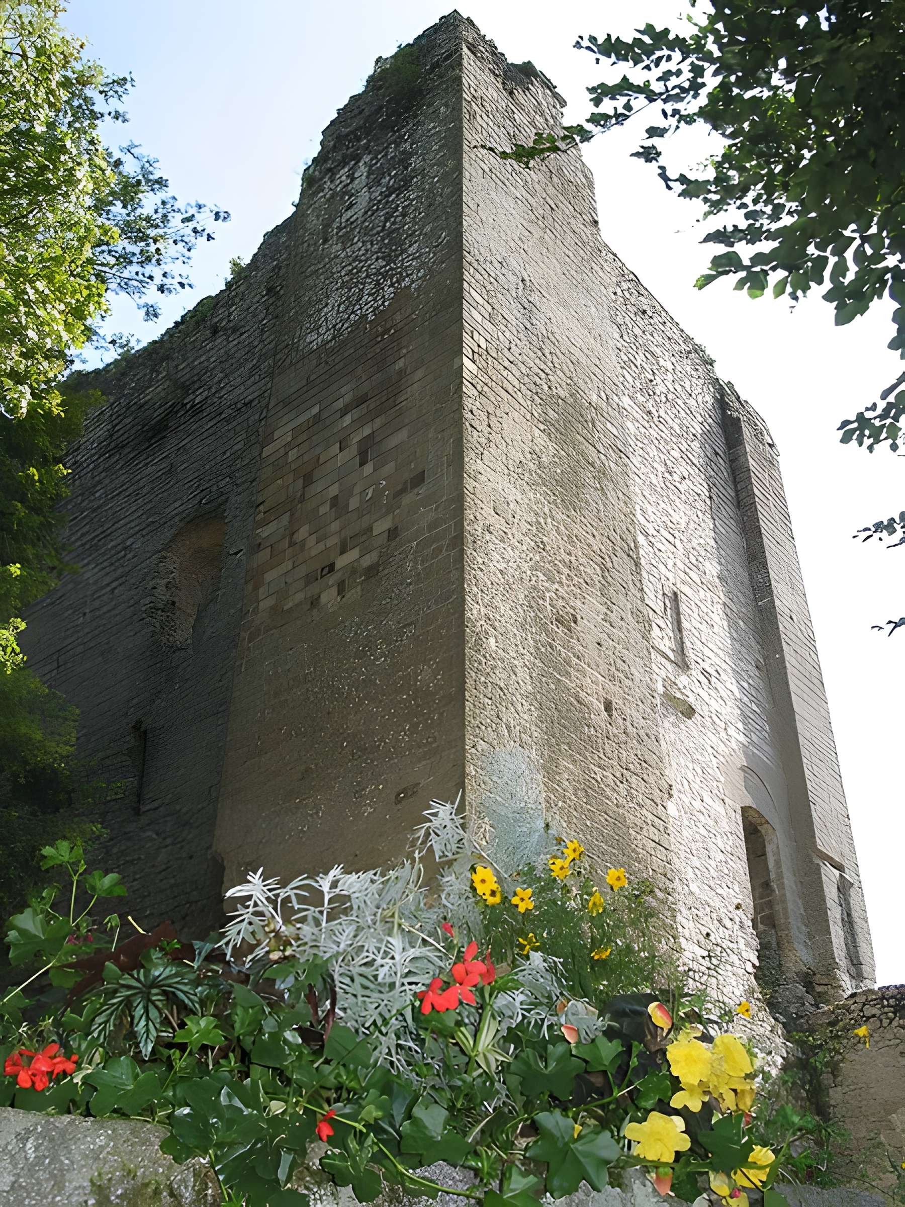 Château de Domfront