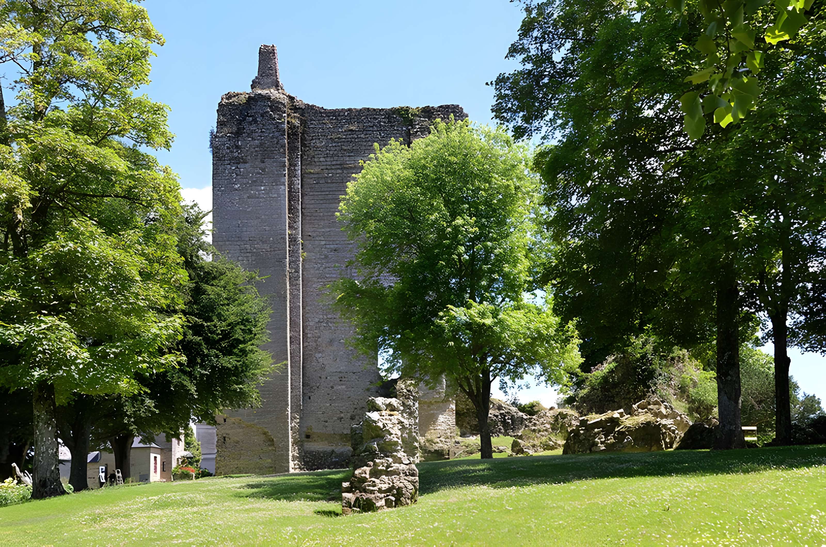 Château de Domfront