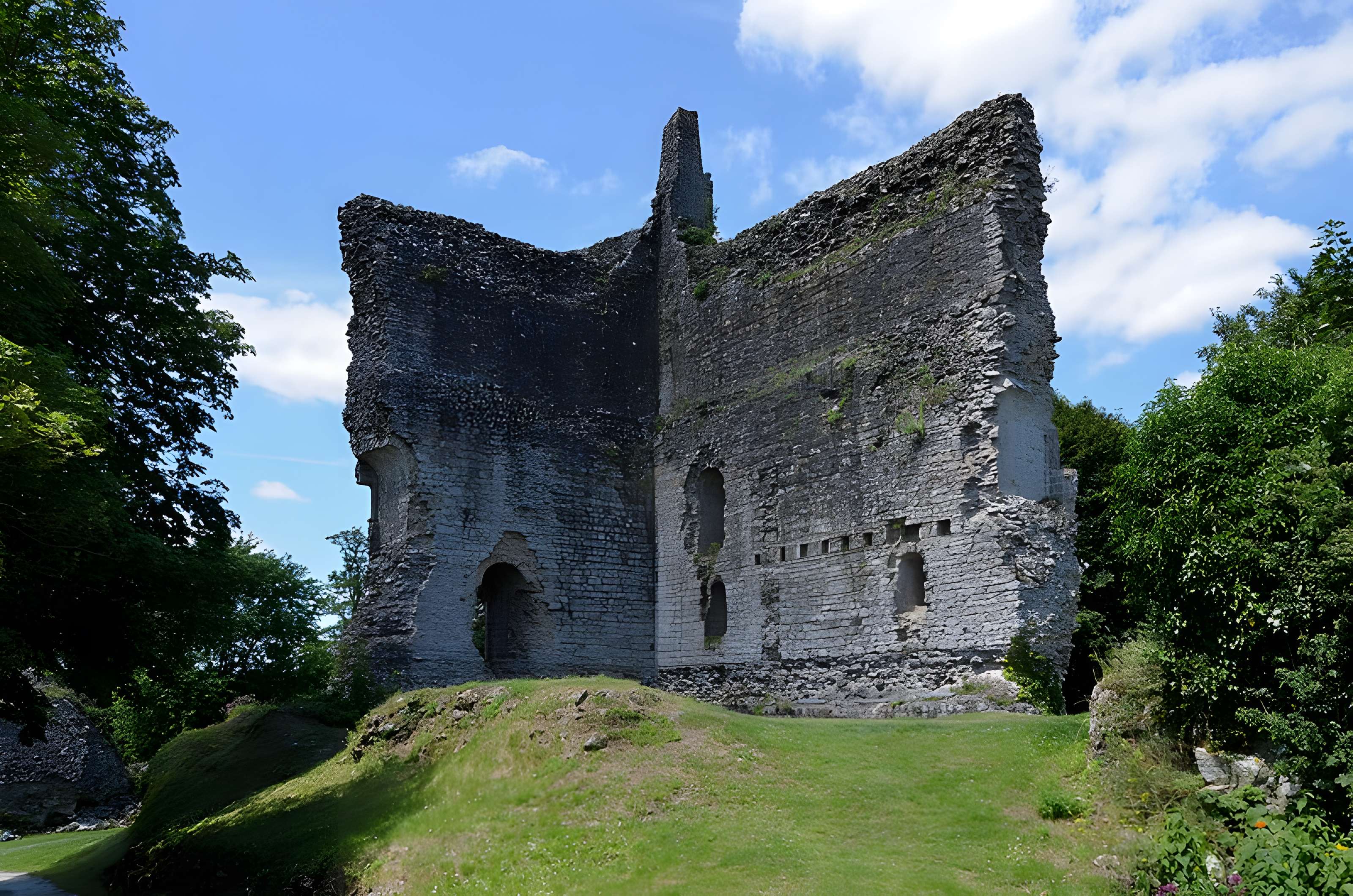 Château de Domfront
