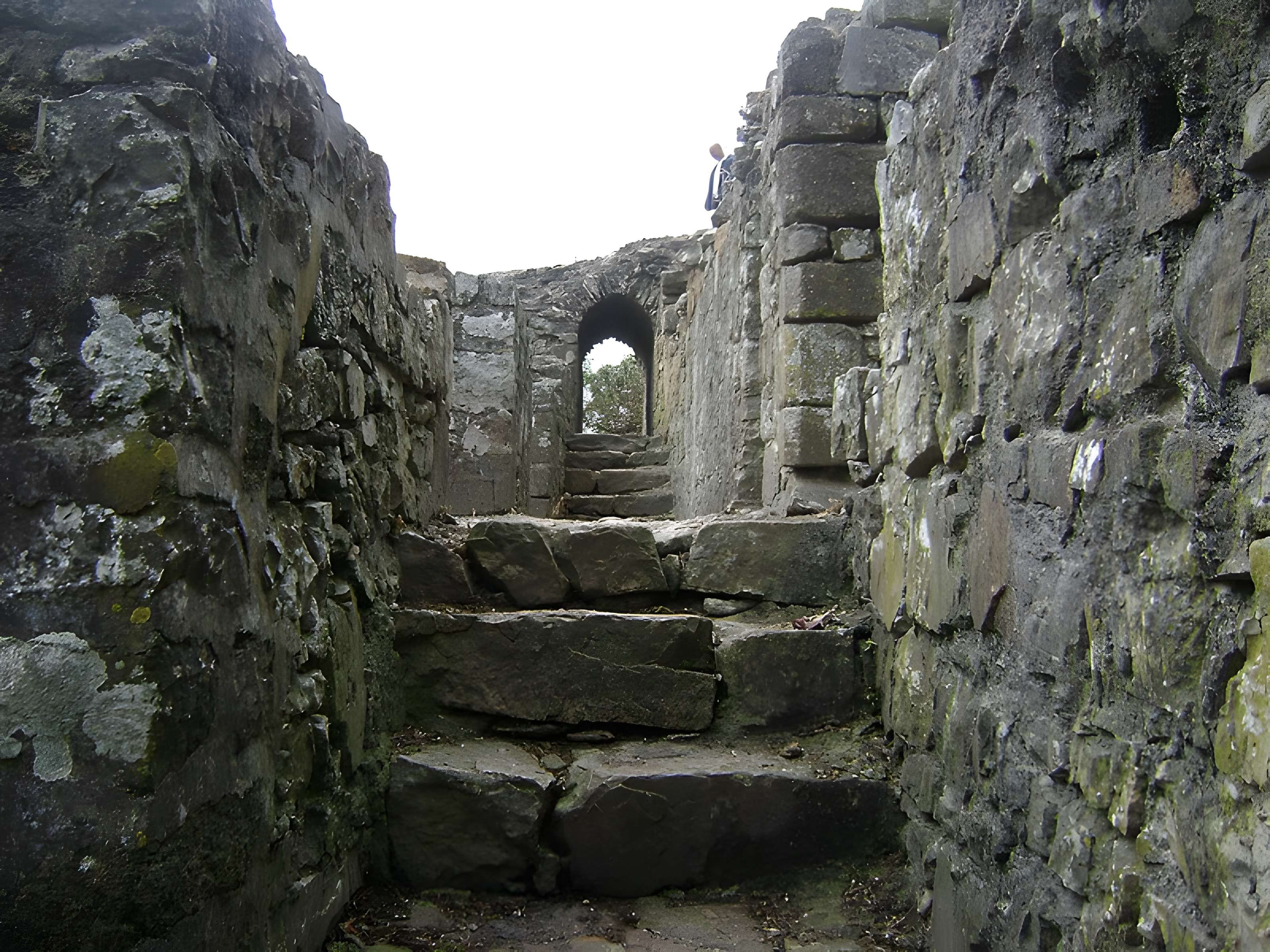 Château de Domfront