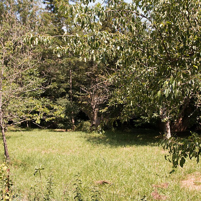 Photo de Vieux Pont de Saint-Maurice-de-Sorgues