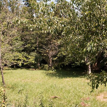 Vieux Pont de Saint-Maurice-de-Sorgues