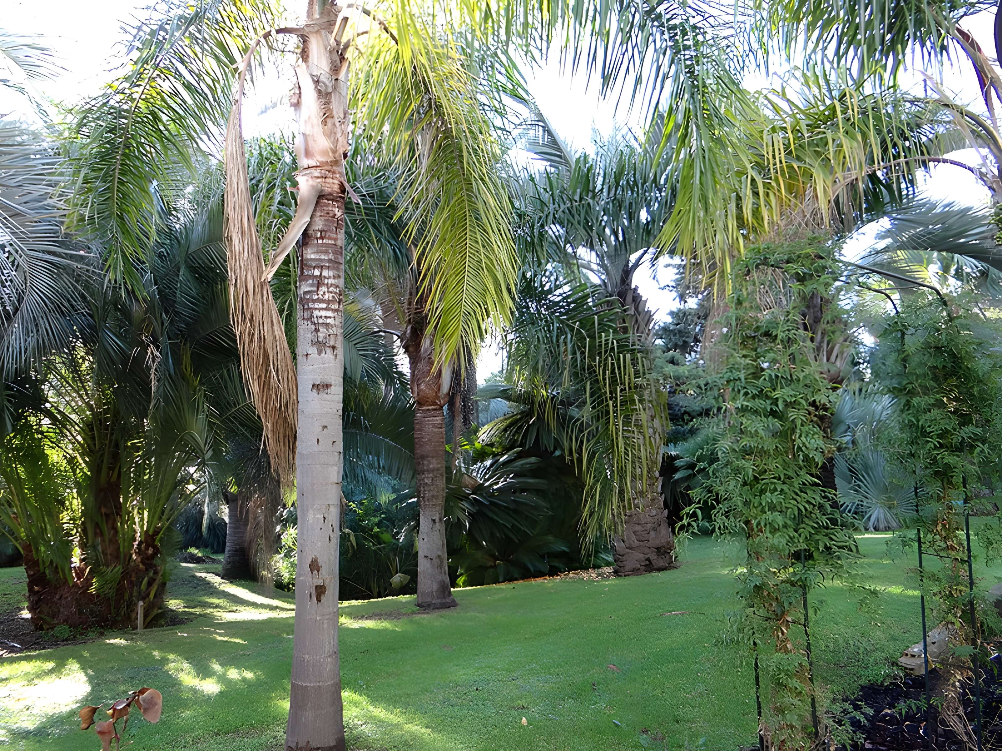 Villa Rothschild à Cannes 