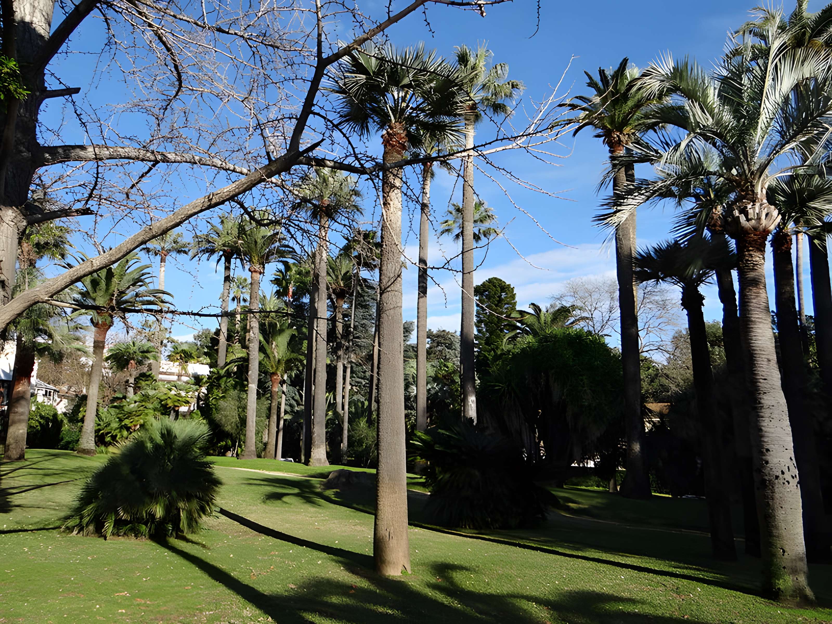 Villa Rothschild à Cannes 