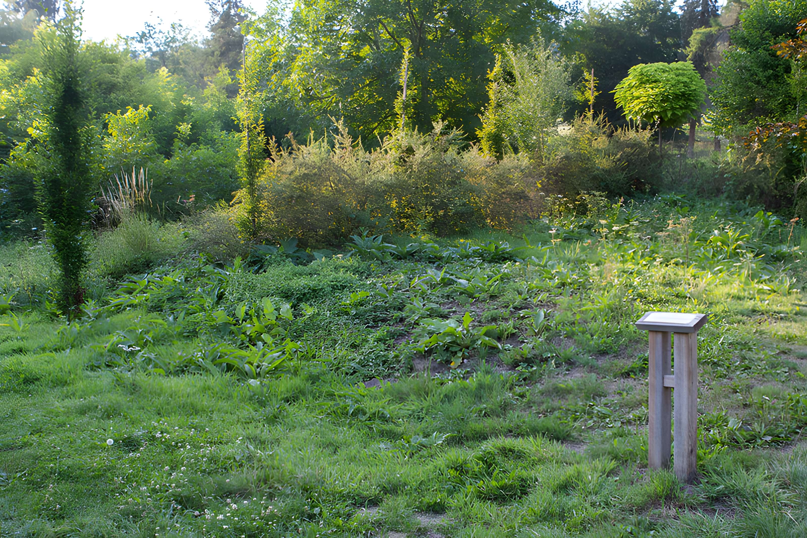 Village du Vieux Craonne