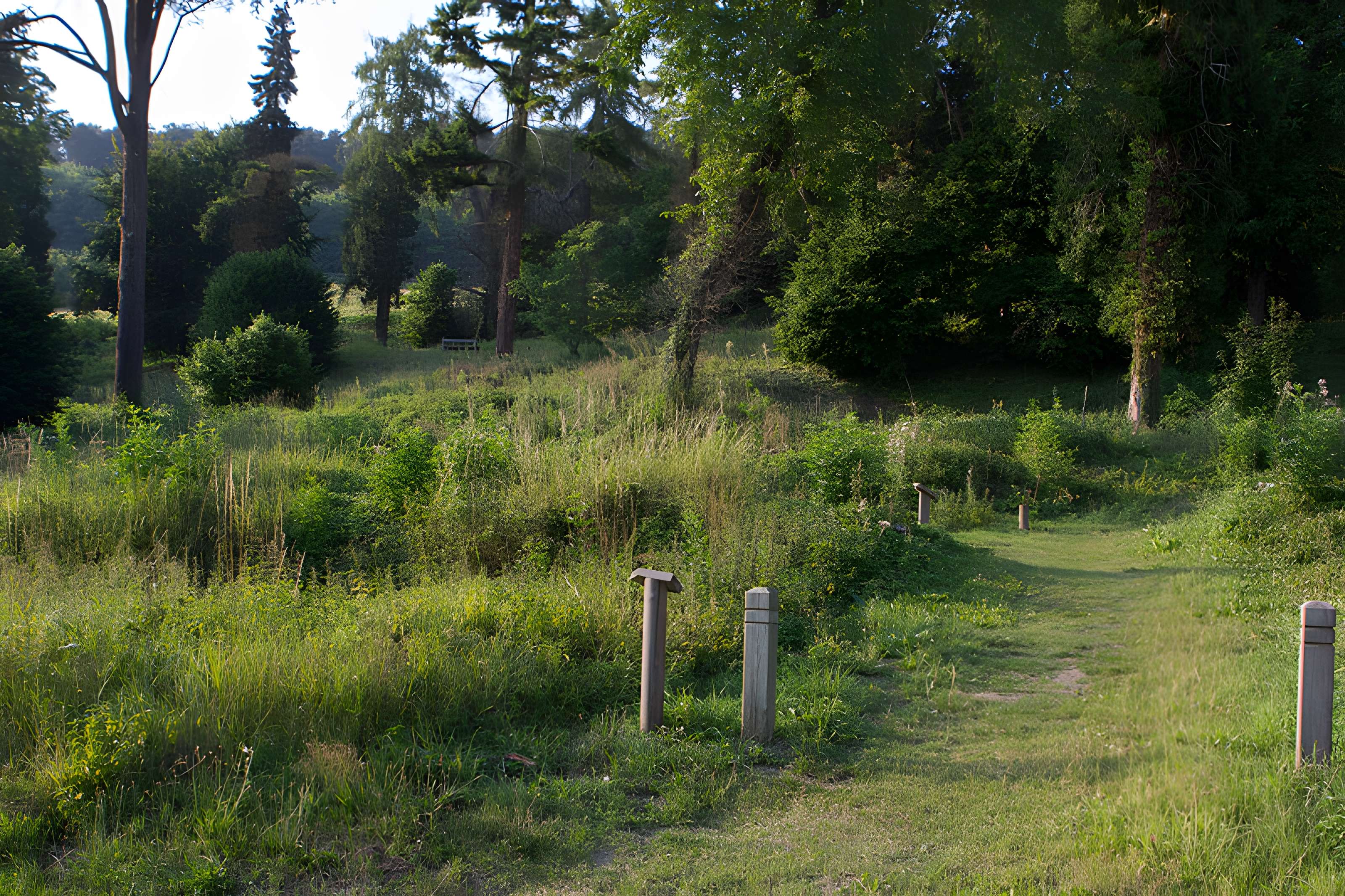 Village du Vieux Craonne