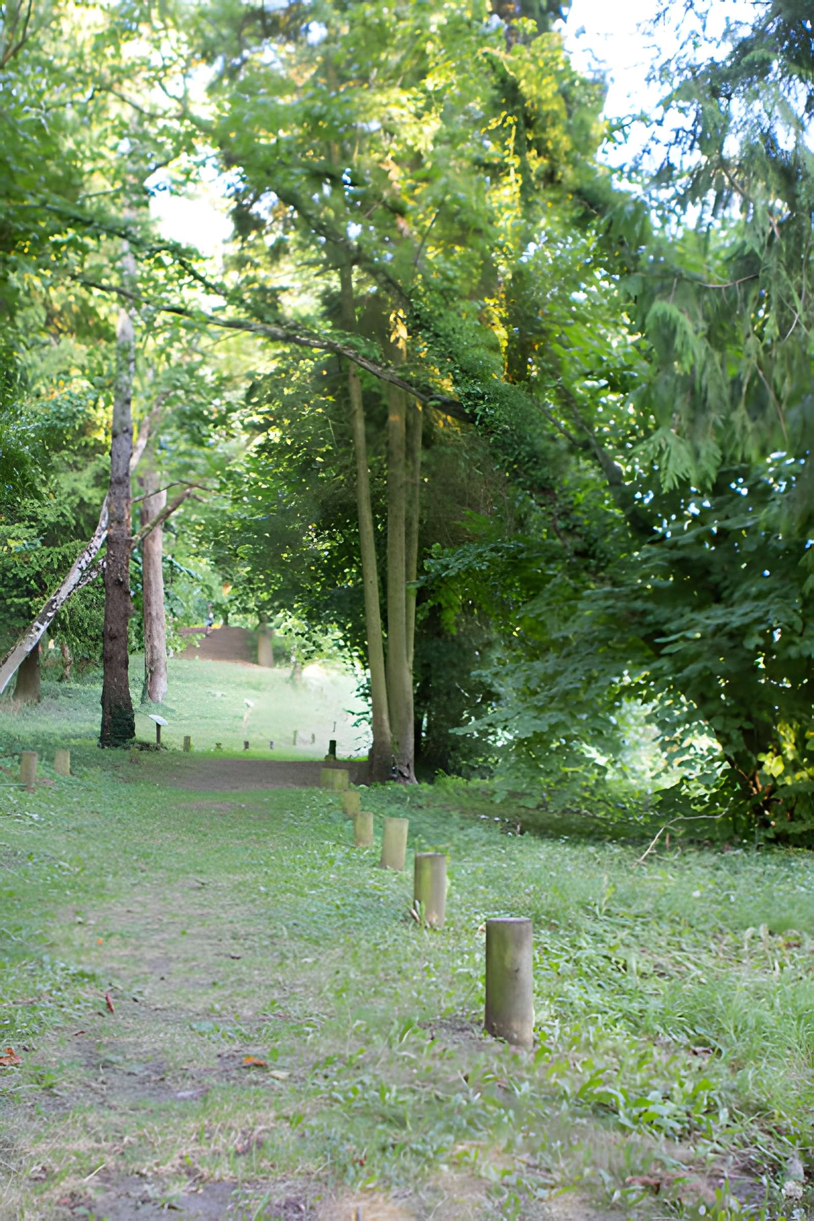 Village du Vieux Craonne