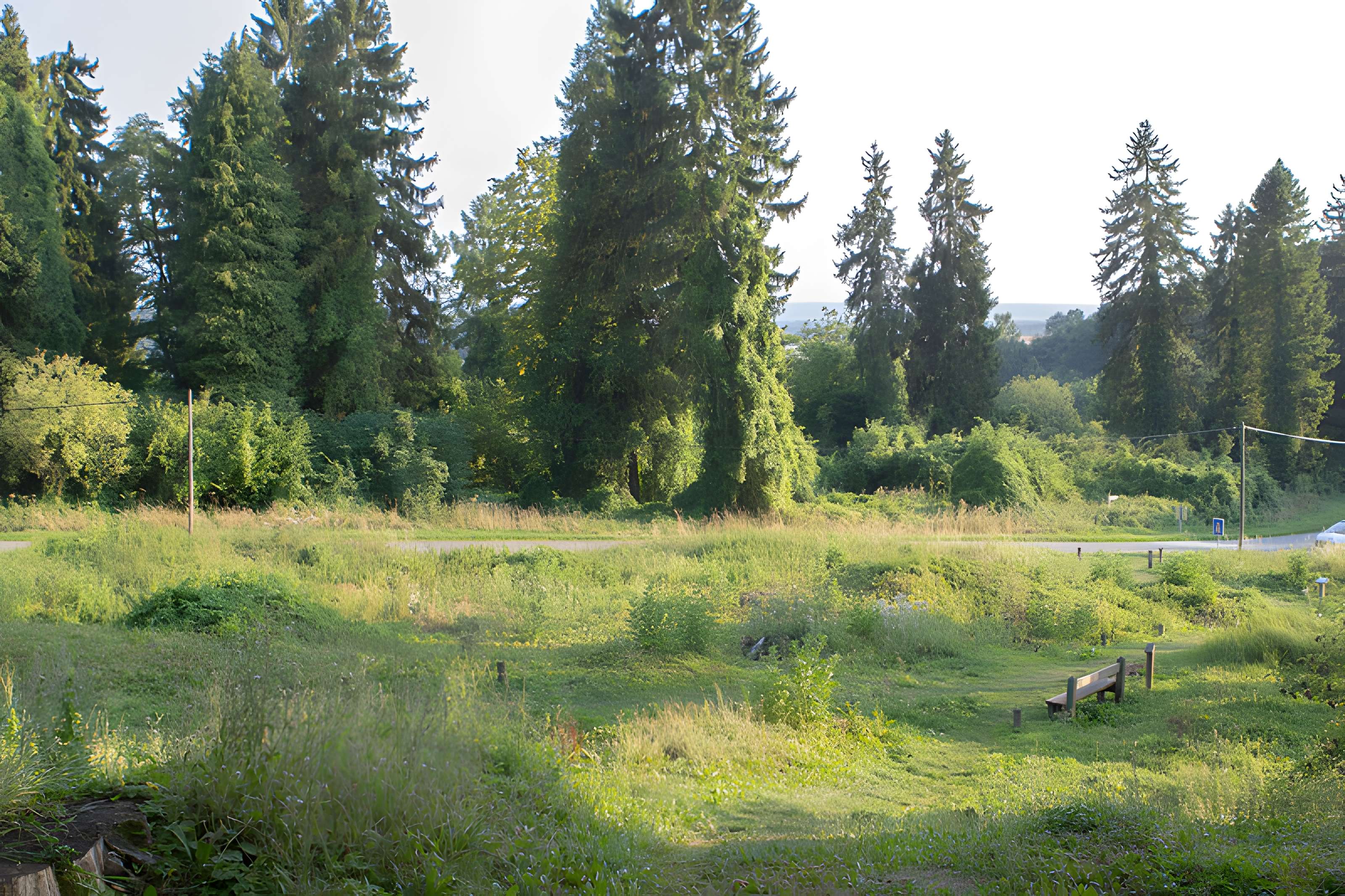 Village du Vieux Craonne