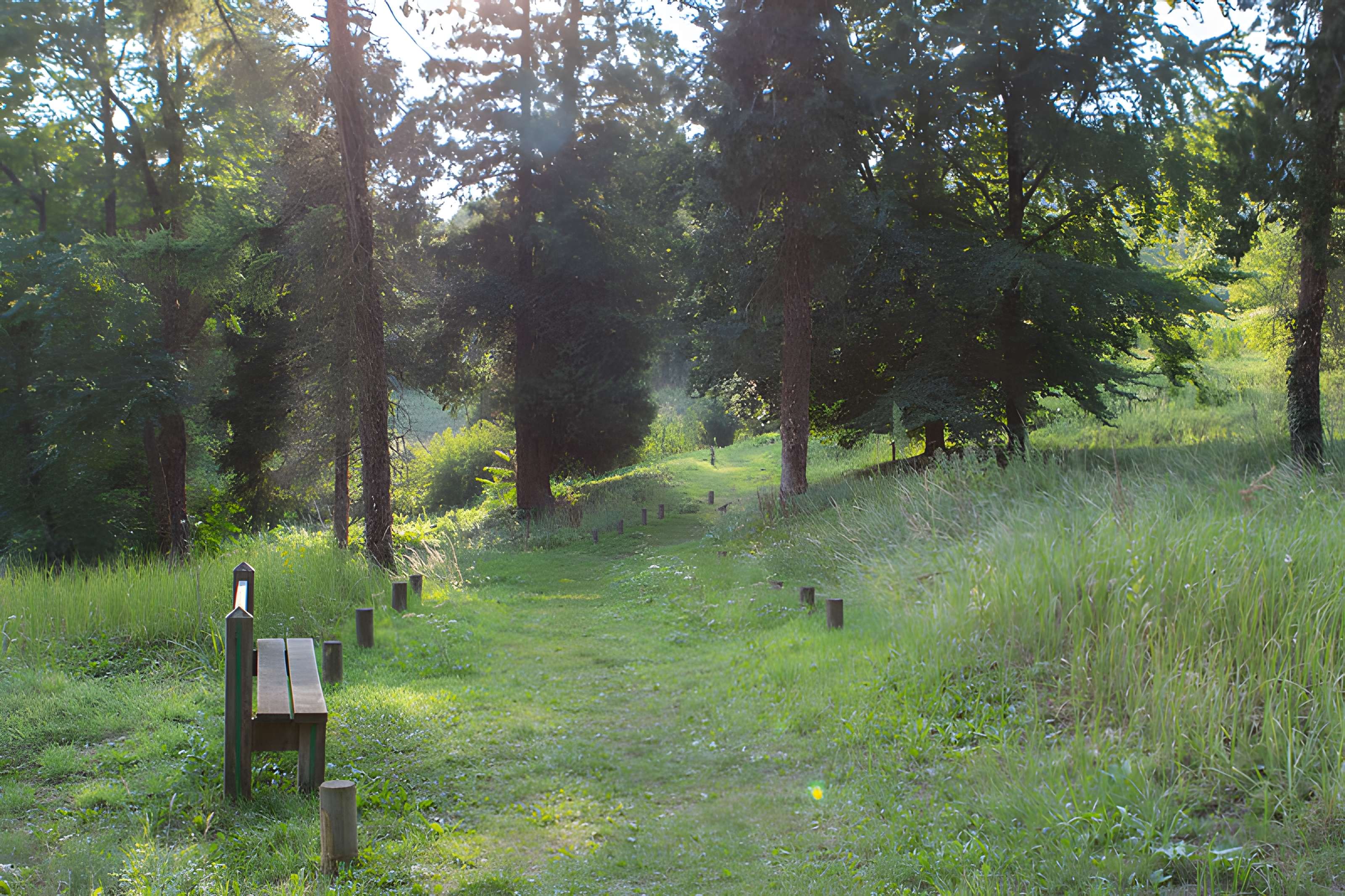 Village du Vieux Craonne