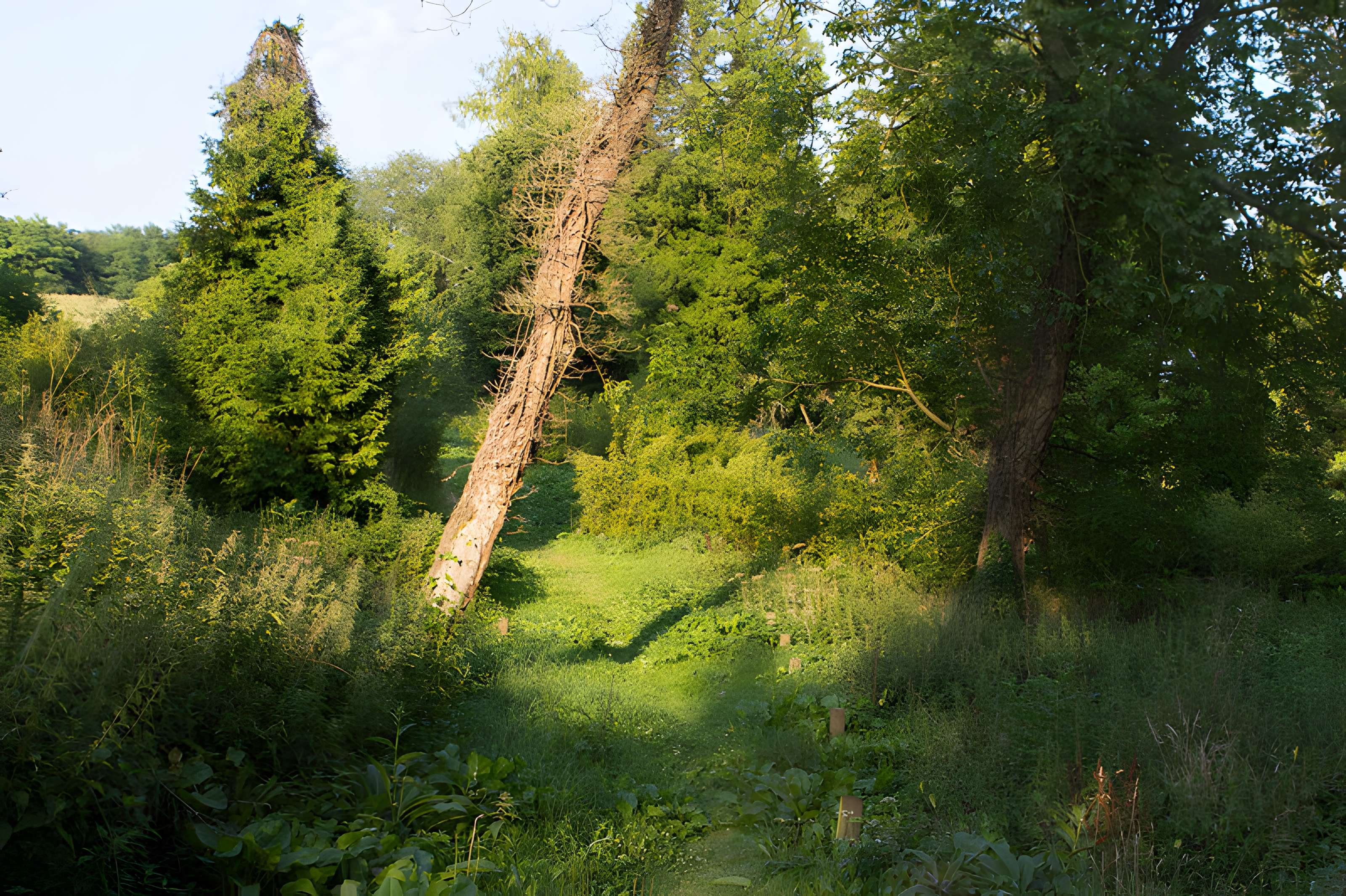 Village du Vieux Craonne