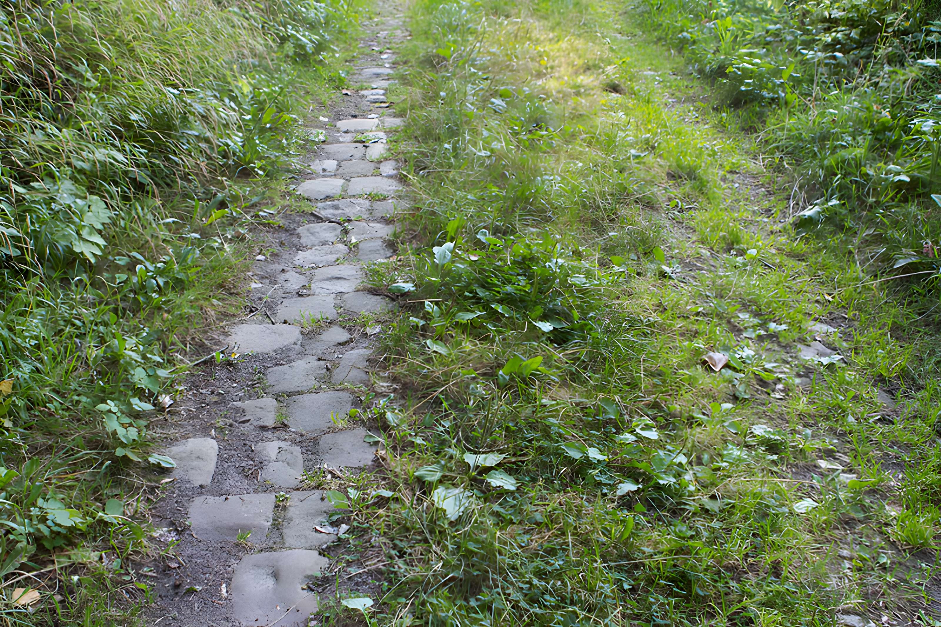 Village du Vieux Craonne