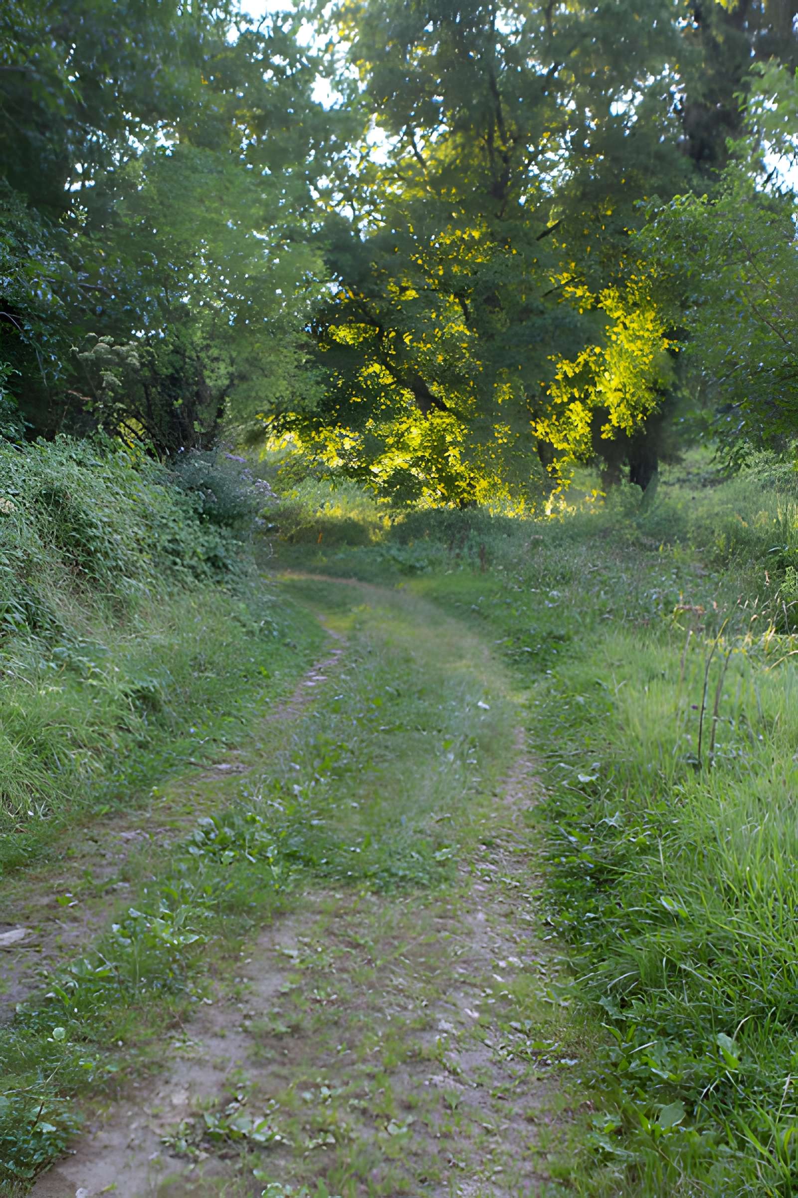 Village du Vieux Craonne