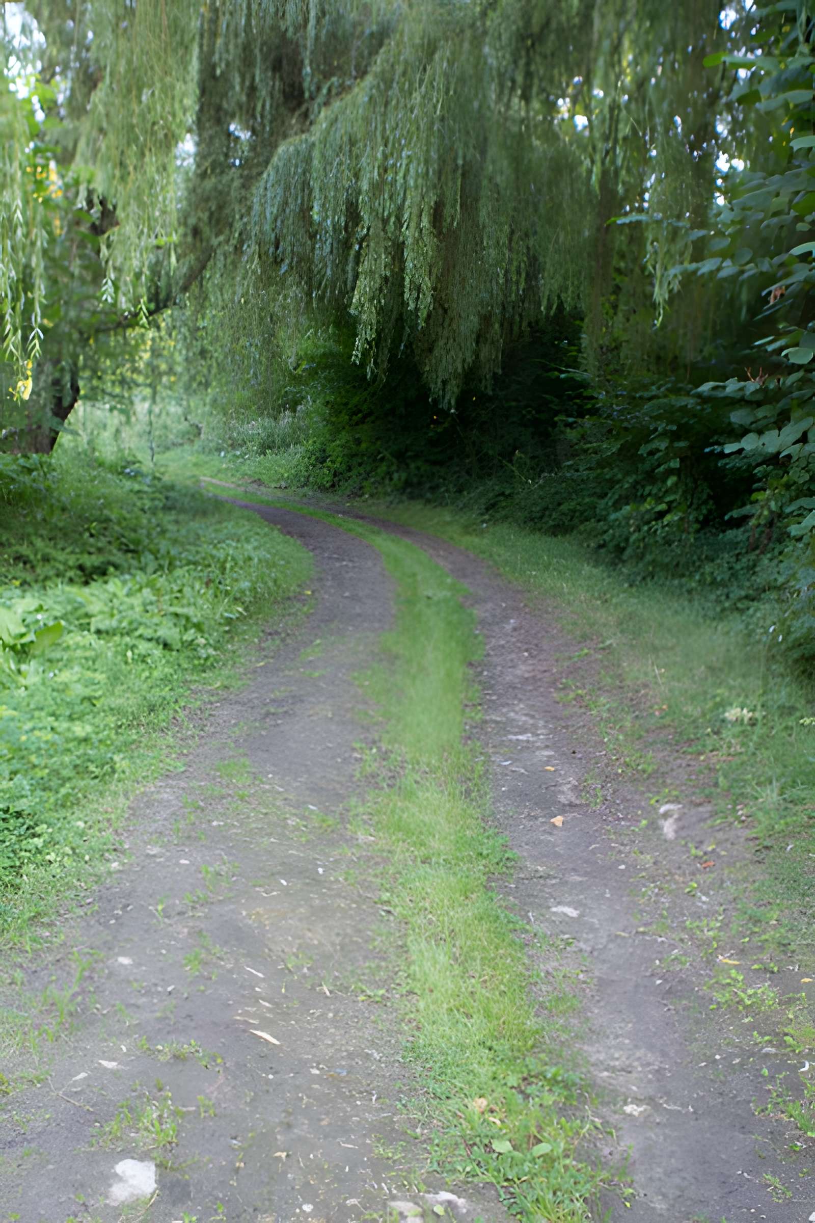 Village du Vieux Craonne