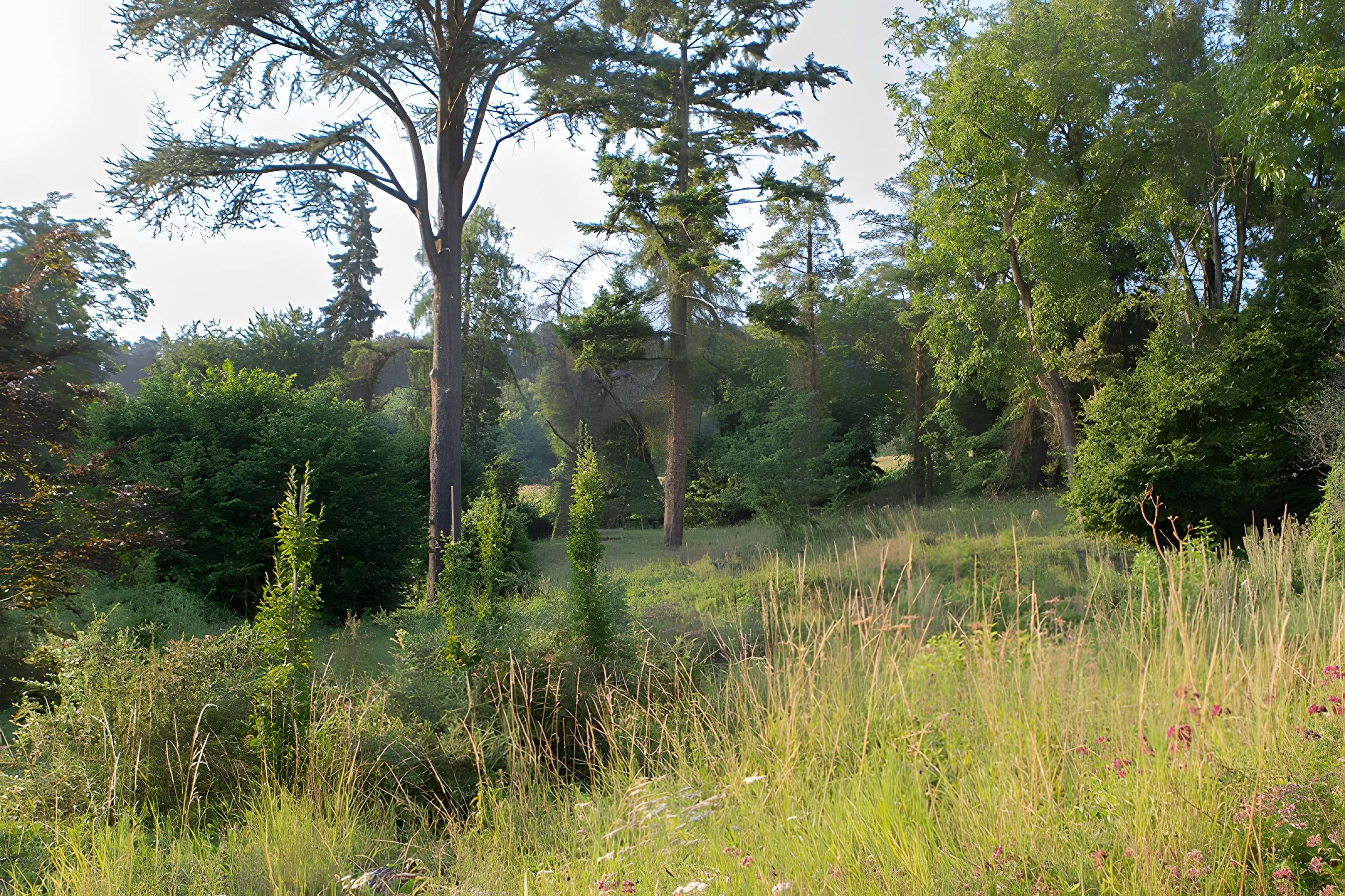 Village du Vieux Craonne