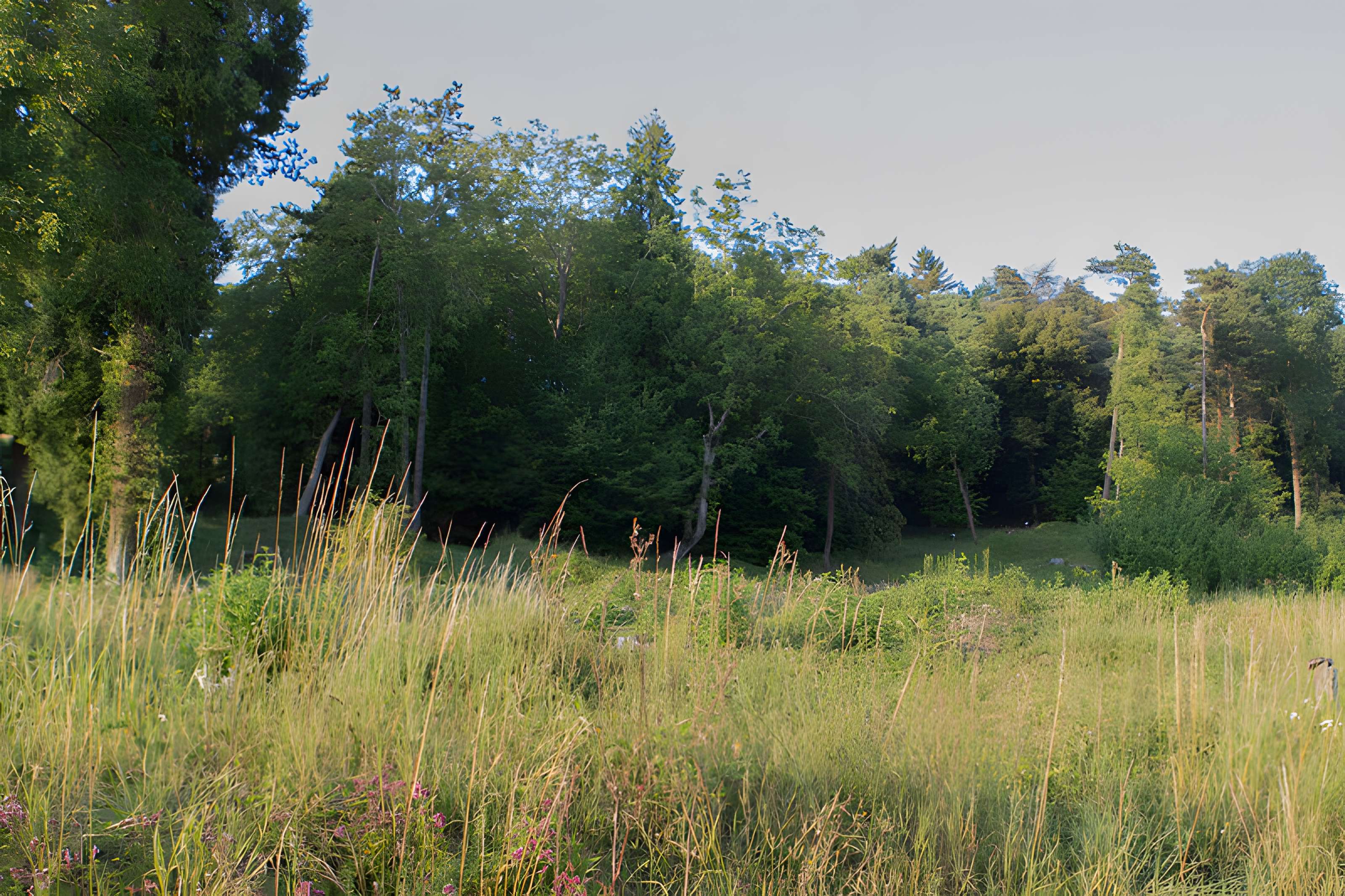 Village du Vieux Craonne
