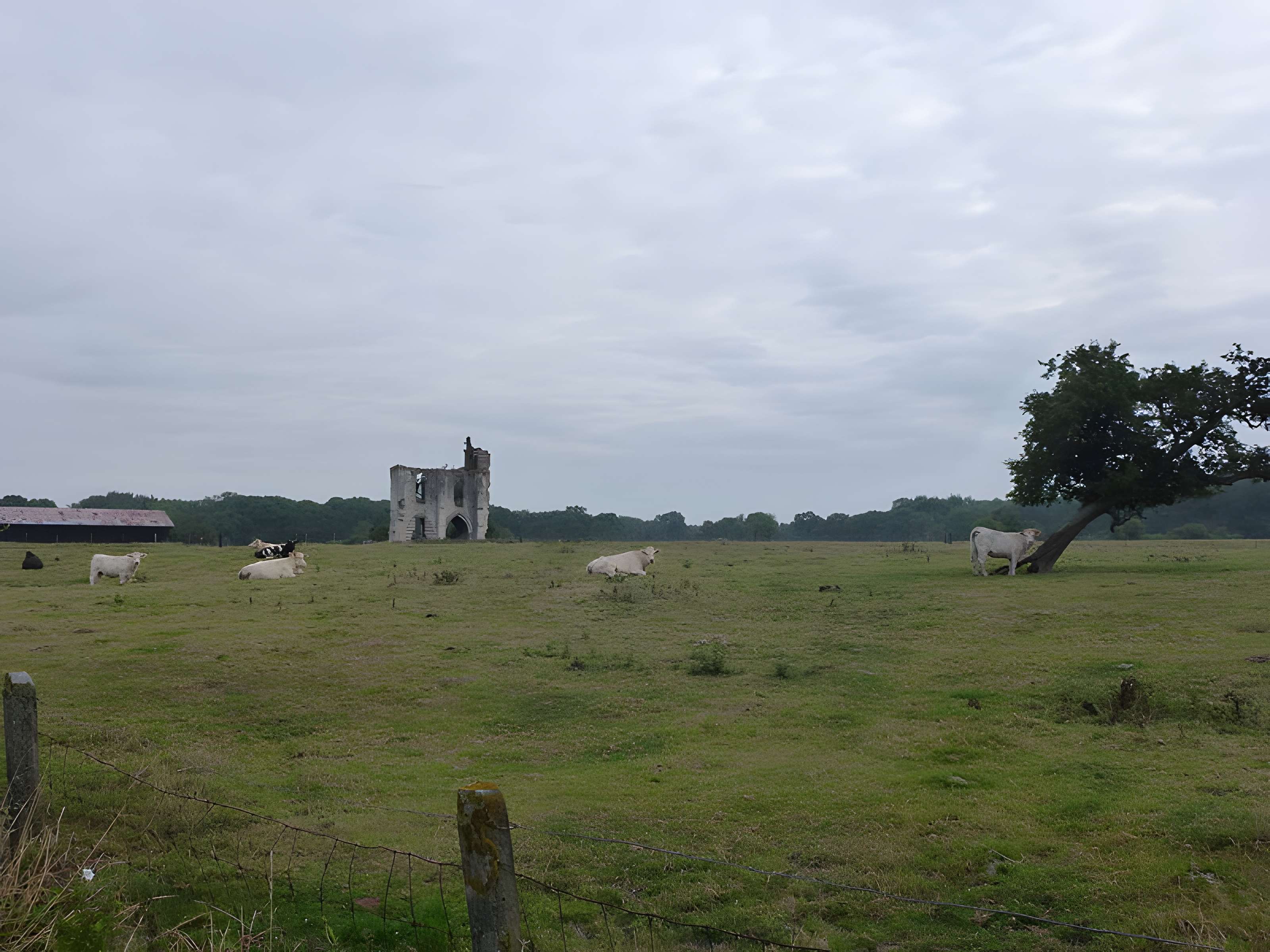 Abbaye de Clairmarais