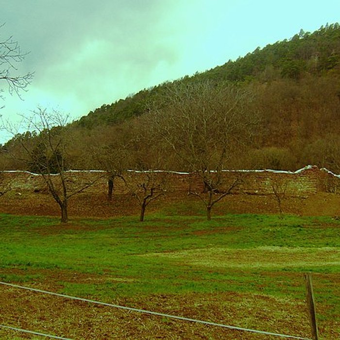 Photo de Abbaye de Marbach