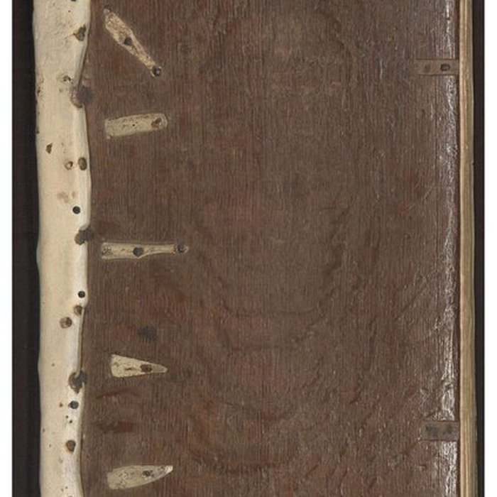 Photo de Abbaye de Saint-Alyre