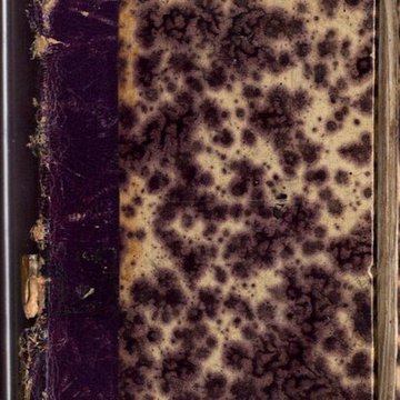 Abbaye de Saint-Alyre