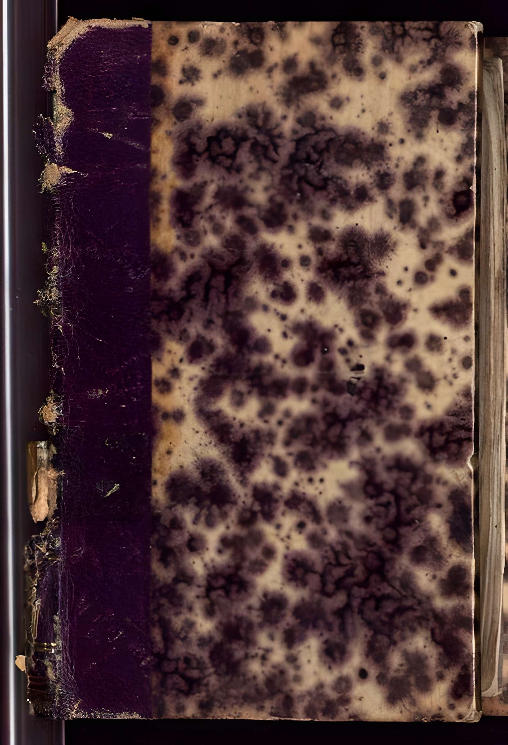 Abbaye de Saint-Alyre