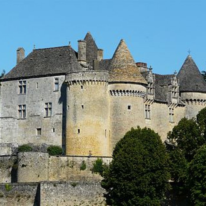 Photo de Château de Fénelon