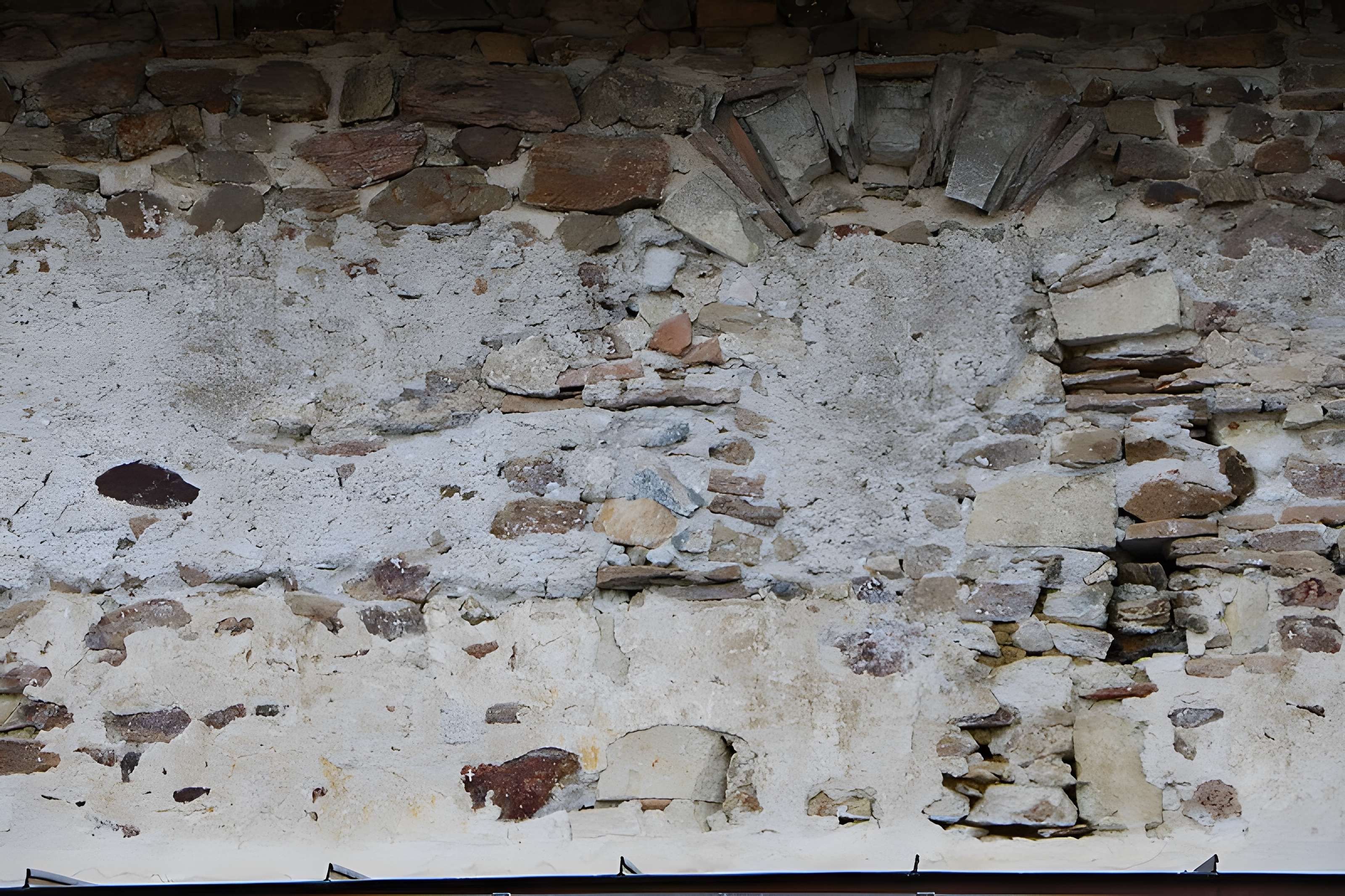 Abbaye de Saint-Philbert-de-Grand-Lieu