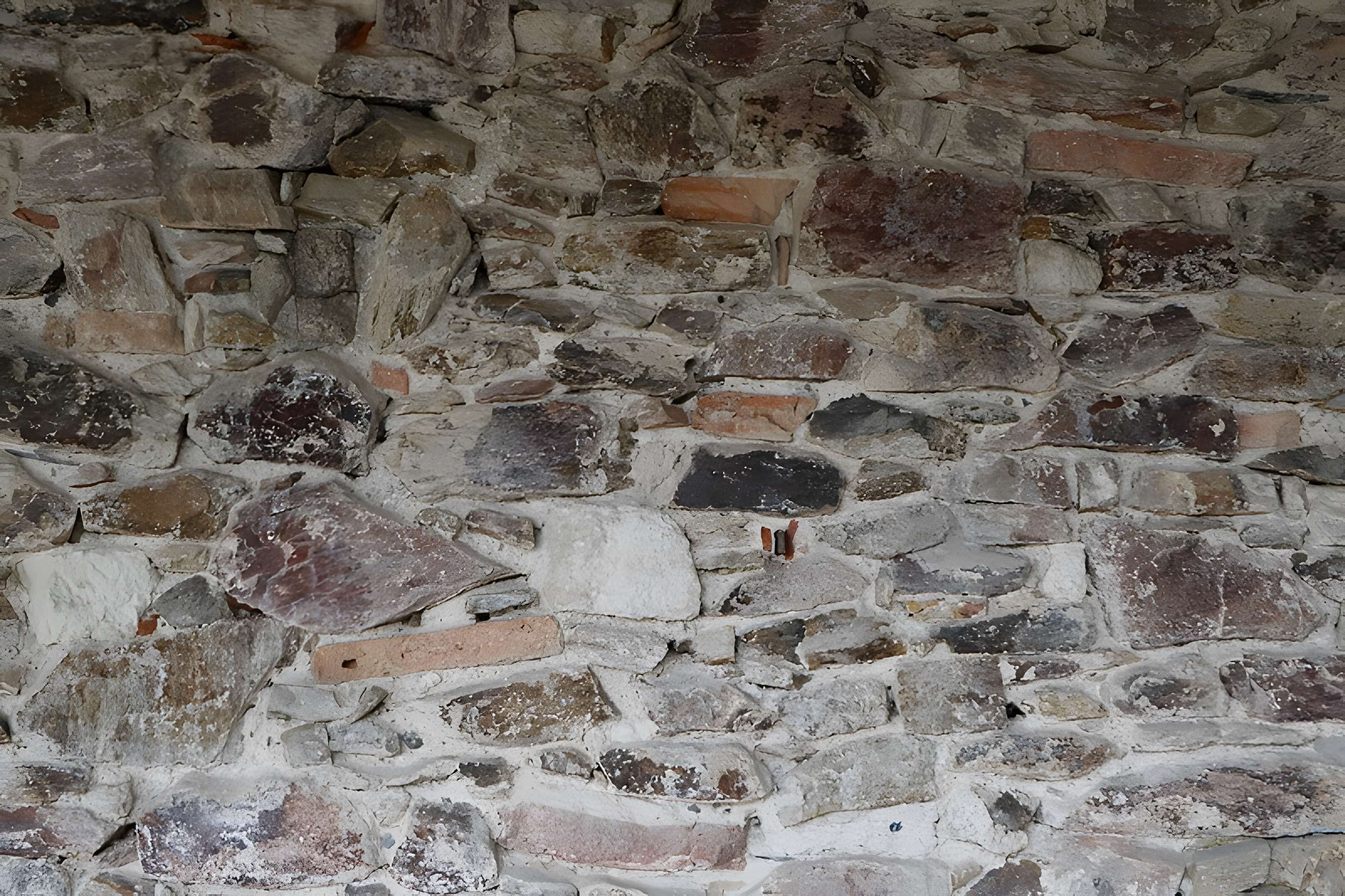 Abbaye de Saint-Philbert-de-Grand-Lieu