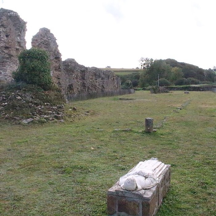Photo de Abbaye de Savigny
