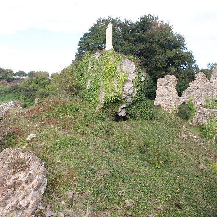 Photo de Abbaye de Savigny