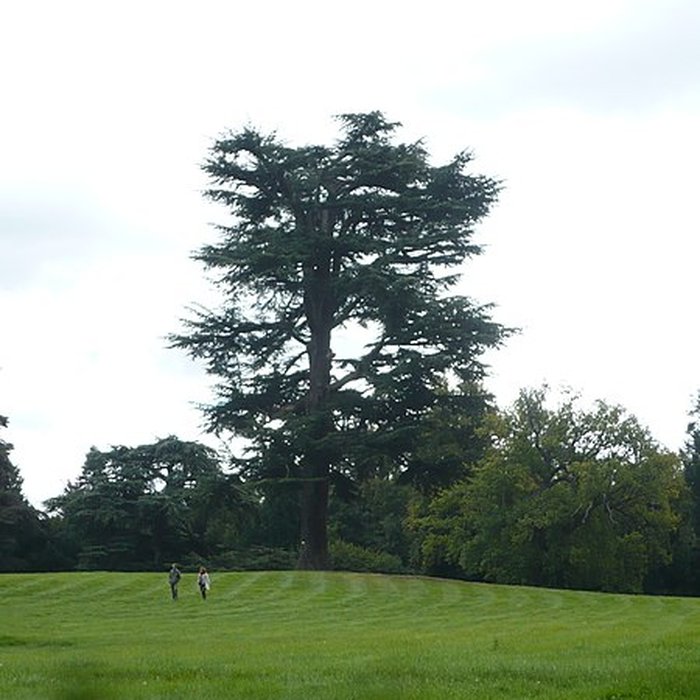 Photo de Château de Ferrières