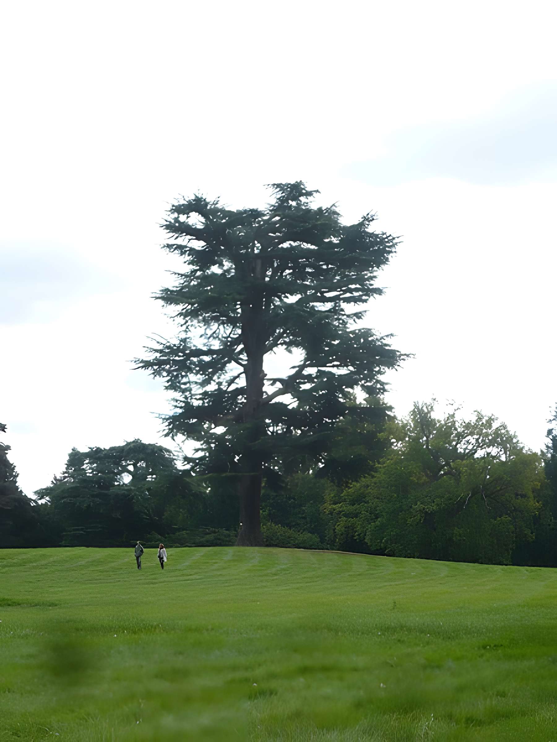 Château de Ferrières