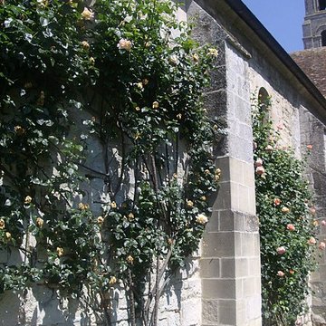 Abbaye Notre-Dame de Morienval