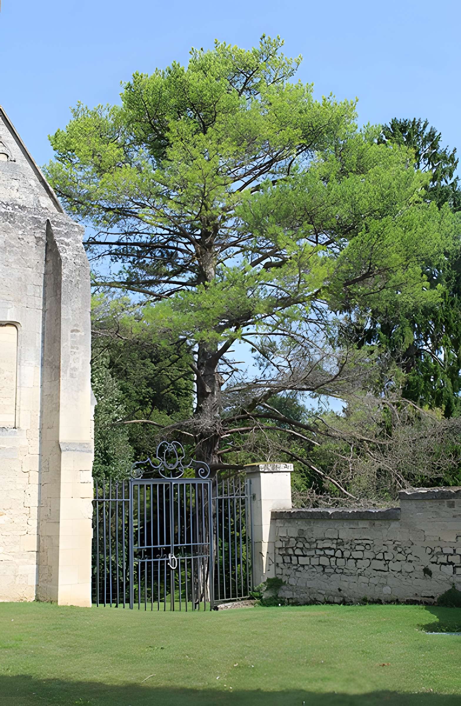 Abbaye Notre-Dame de Morienval