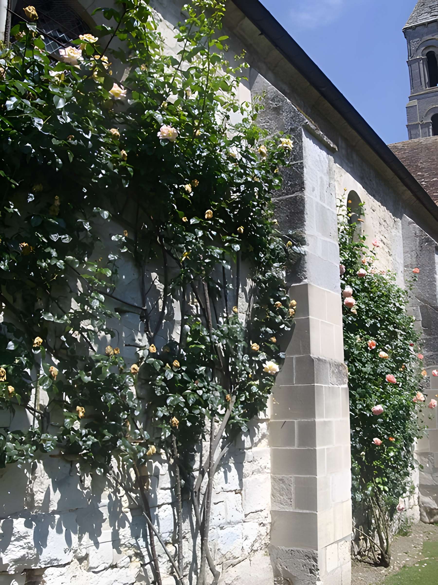 Abbaye Notre-Dame de Morienval