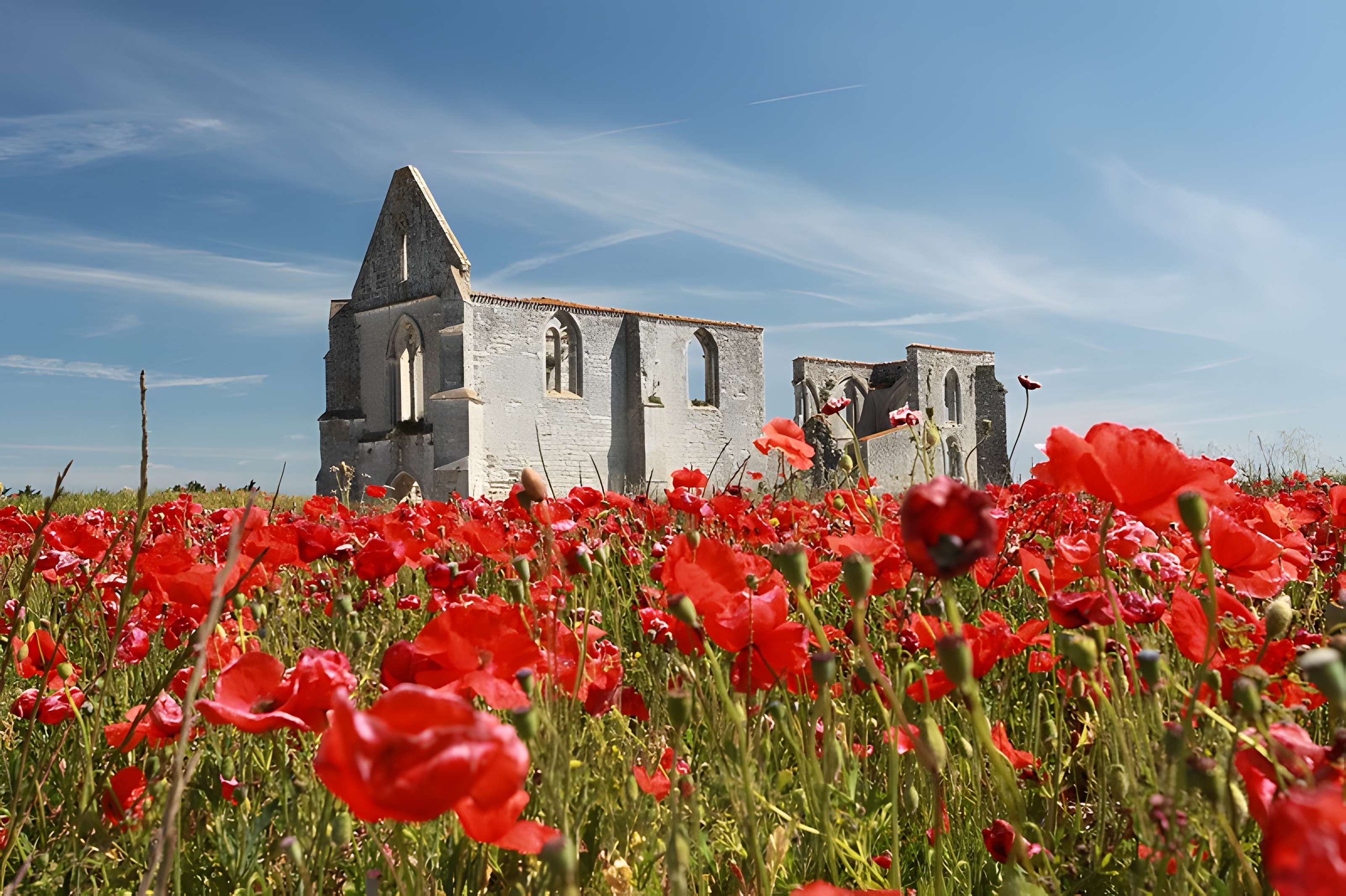 Abbaye Notre-Dame-de-Ré dite des Châteliers