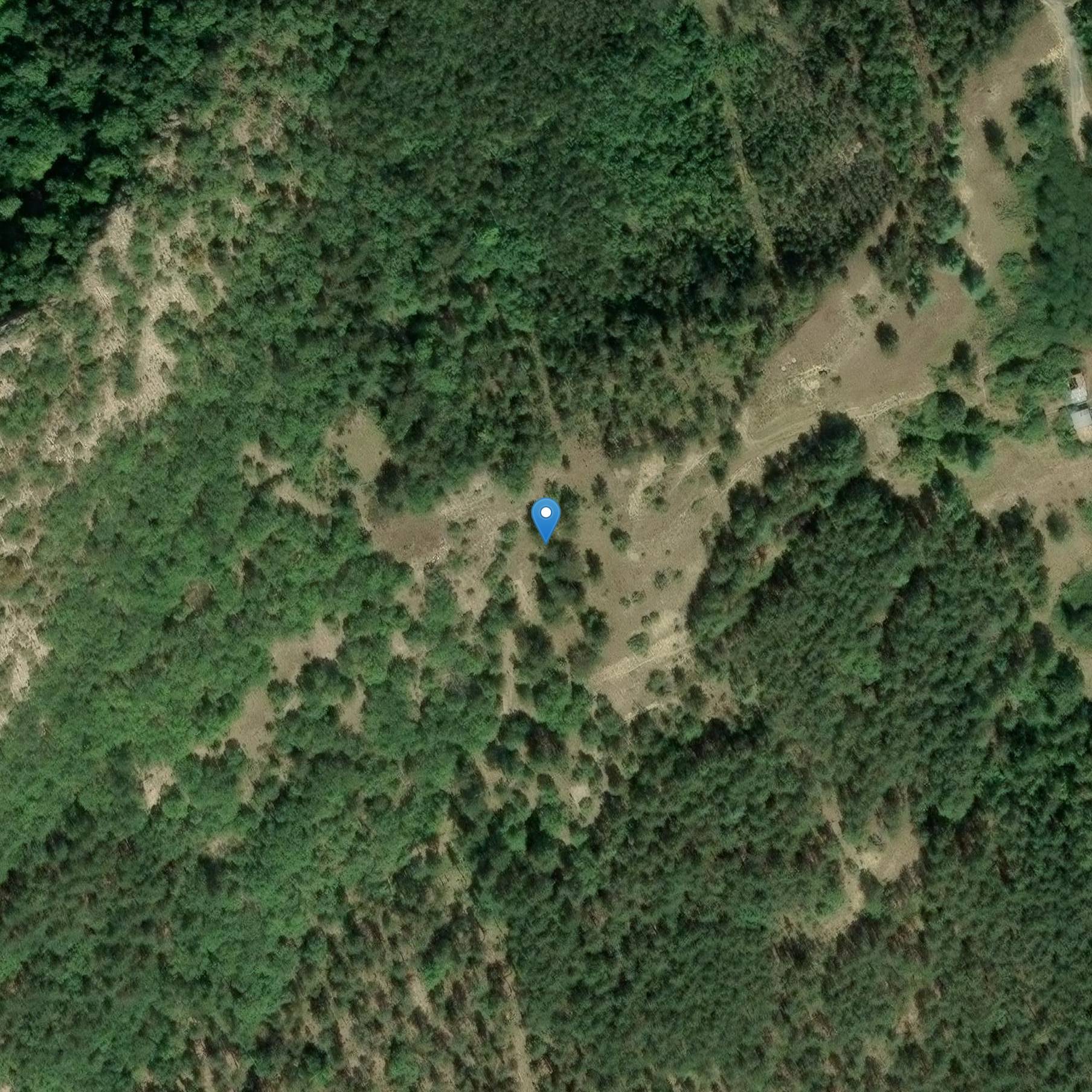 Photo de サン・シンフォリアン教会