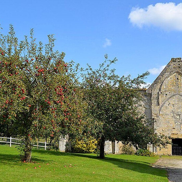 Photo de Abbaye Sainte-Marie de Longues-sur-Mer