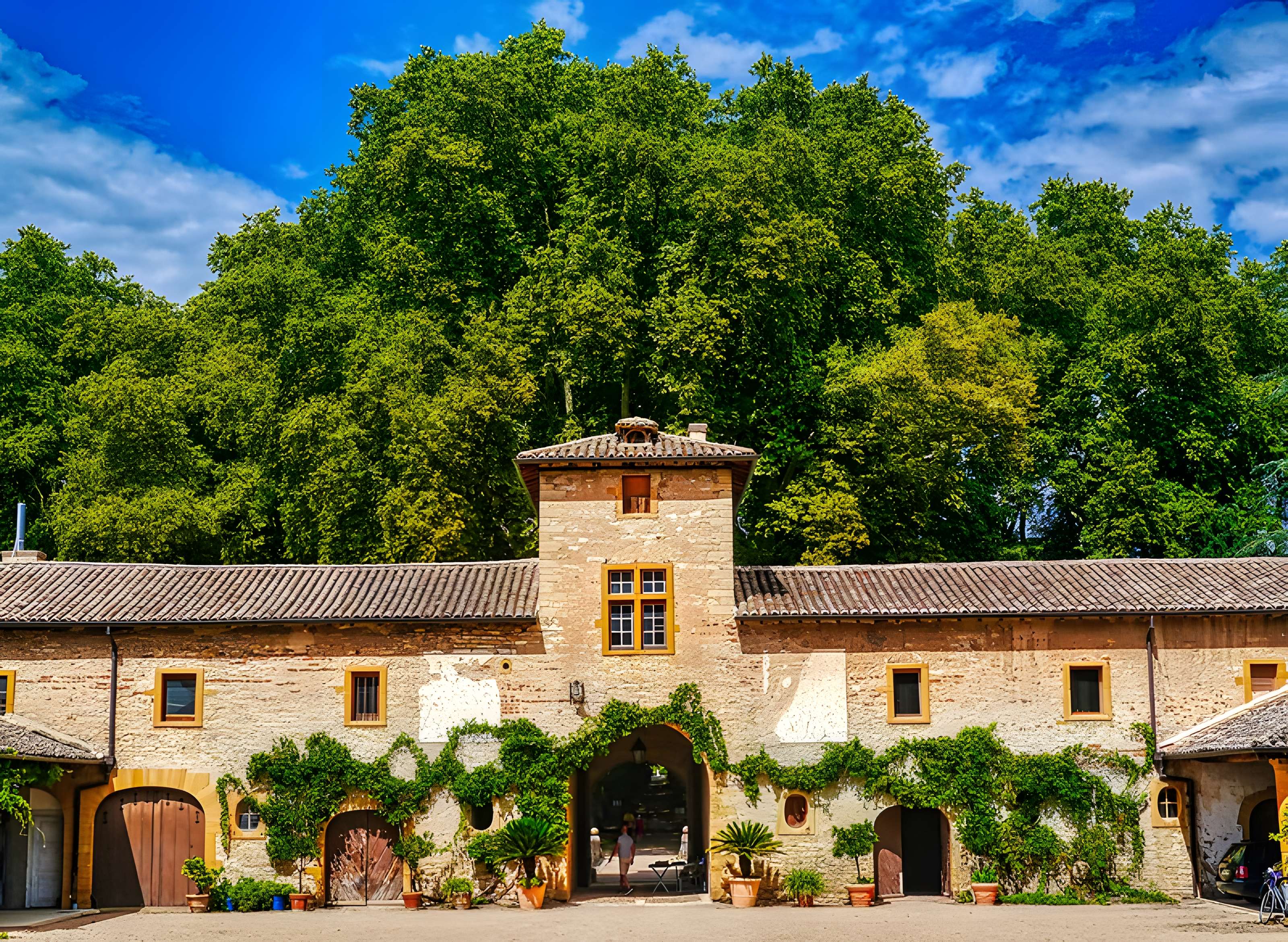 Château de Fléchères